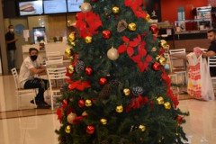 Sobral-Shopping-2-14