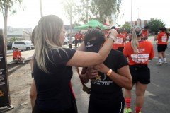 Vip-3-10-2-20-113