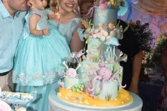 Post-AniversarioCeciliaRocha-90_14_01_2024