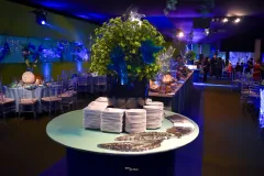 Post-LuisMiguelAniversario15Anos-63_26_01_2025