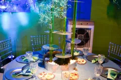 Post-LuisMiguelAniversario15Anos-64_26_01_2025