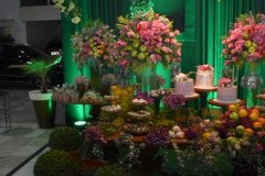 Aniversario-Liana-Rocha-3-4