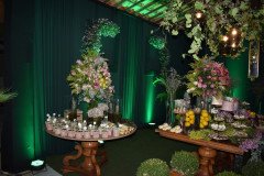 Aniversario-Liana-Rocha-3-5