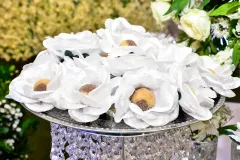 Bodas0-44_22_01_2024