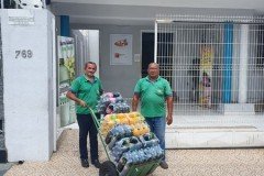 Campanha-18-4-20-4