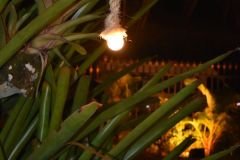 Post-Casamento-Lisie-Aragao-e-Luiz-Eduardo-223