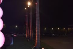 Post-Cha-Revelacao-JP-JB-2-47_18_07_2022