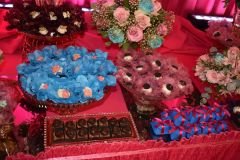 Post-AniversarioAlanaDias1-135_03_03_2023