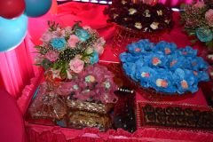 Post-AniversarioAlanaDias1-136_03_03_2023