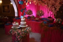 Post-AniversarioAlanaDias1-49_03_03_2023