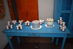 Post-Aniversario-Liana-Rocha-2-30_15_11_2022