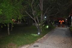 Post-Daniela-Nogueira-1-41_12_01_2023