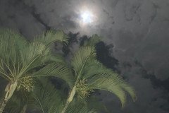 Aniversario-Laleta-Parente-2-6-7-20-11