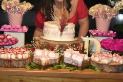 Post-Aniversario-Danyelle-Melo-75_16_05_2022