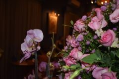 Post-AniversarioRosemaryDeus-7_30_03_2023