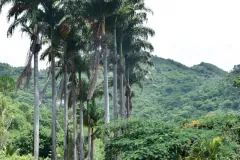 Post-AniversarioSilvanaMacedo3-5_19_02_2024