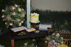 Aniversario-Thiely_Parente-2