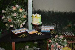 Aniversario-Thiely_Parente-2