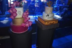Post-Aniversario-Dr.-Irismar-Andade-Dr.-Anselmo-Andrade-e-Erika-Paredes-68_17_04_2022