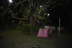 Margleicia-Vasconcelos-Aniversario-12-9-20-25