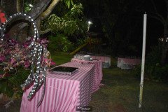 Margleicia-Vasconcelos-Aniversario-12-9-20-27