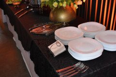 Aniversario-Ricardo-Regis-127