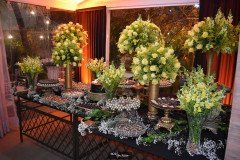 Aniversario-Ricardo-Regis-8