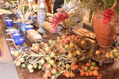 Post-AniversarioSergioHolanda1-23_27_07_2024