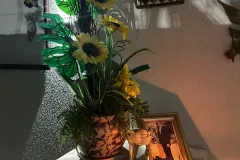 Post-JantarAniversarioLeila-6_23_12_2024