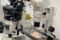 Fertiliza-15_19_01_2022