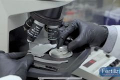 Fertiliza-2_19_01_2022