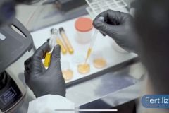 Fertiliza-5_19_01_2022