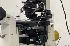 Fertiliza-9_19_01_2022