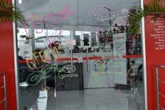 Newland-Sobral-15-2-20-6