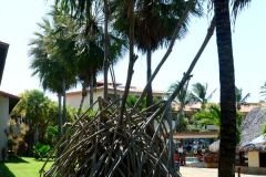 Feijoada-do-Cesinha-2021-Adrielson-Aguiar-30-10-21-38_03_11_2021