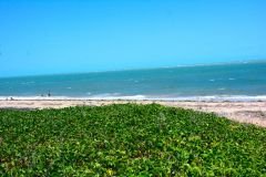 Feijoada-do-Cesinha-2021-Adrielson-Aguiar-30-10-21-61_03_11_2021