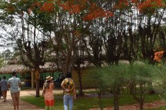 Sun-City-Resorts-1-47