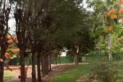 Sun-City-Resorts-1-48