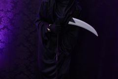 Fisk-2-117_29_10_2022