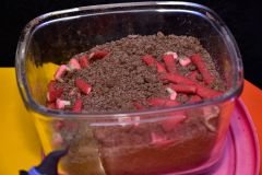 Fisk-2-249_29_10_2022