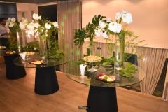 Post-FortalezaDecor-44_26_05_2023