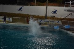 Post-Vila-Olimpica-2-38