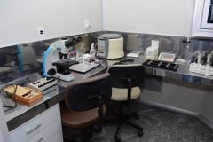 Post-Fertiliza-4