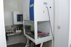 Post-Fertiliza-5