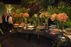 Post-Vermont-Mineracao-9_13_08_2022