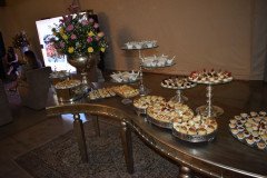 Vinas-Buffet-Live-2-10