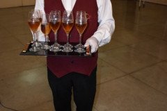 Vinas-Buffet-Live-2-20