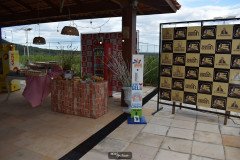Live-JE-Empreendimentos-20-6-20-13