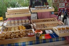 Live-JE-Empreendimentos-20-6-20-24