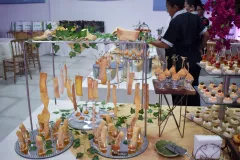 Post-TMS2024-229_29_05_2024